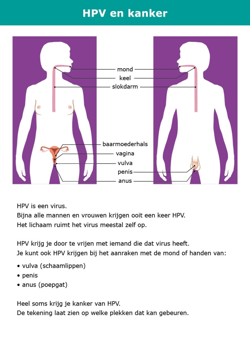 Praatkaart HPV en kanker afbeelding kant 1