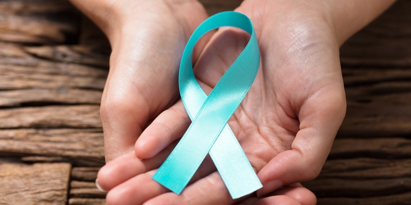 Teal lintje 1320x660 px