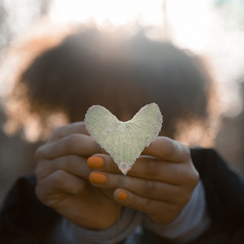 Heart 500x500 px