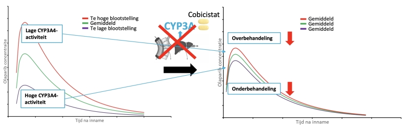 Plaatje olijf 2 0 proactive